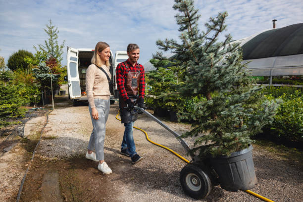 How Our Tree Care Process Works  in  New Market, MD